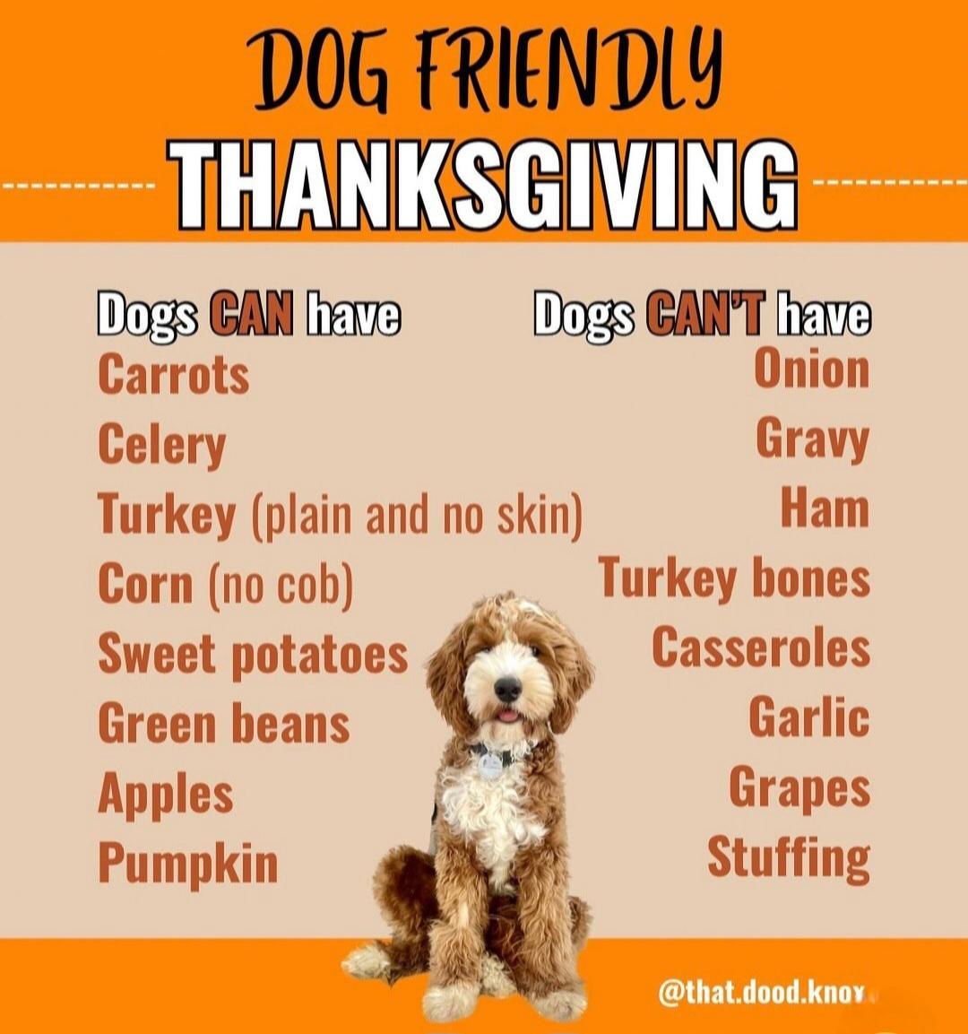 这一改革措 这一改革措