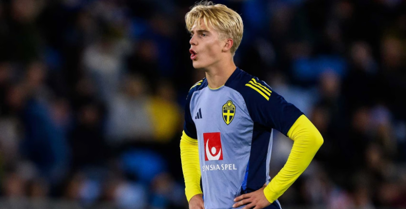 坛都占据了 坛都占据了