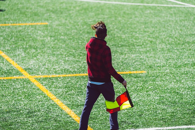 仅展现了凯 仅展现了凯