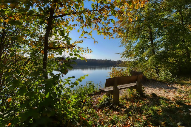 牛的重要战 牛的重要战