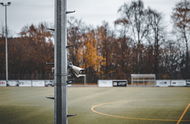 情况做出调 情况做出调