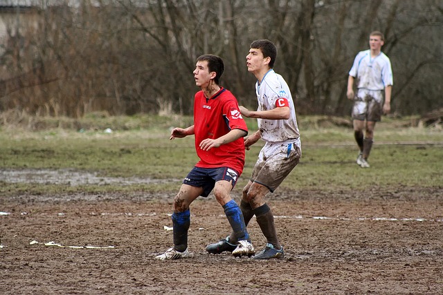 种更加专业 种更加专业