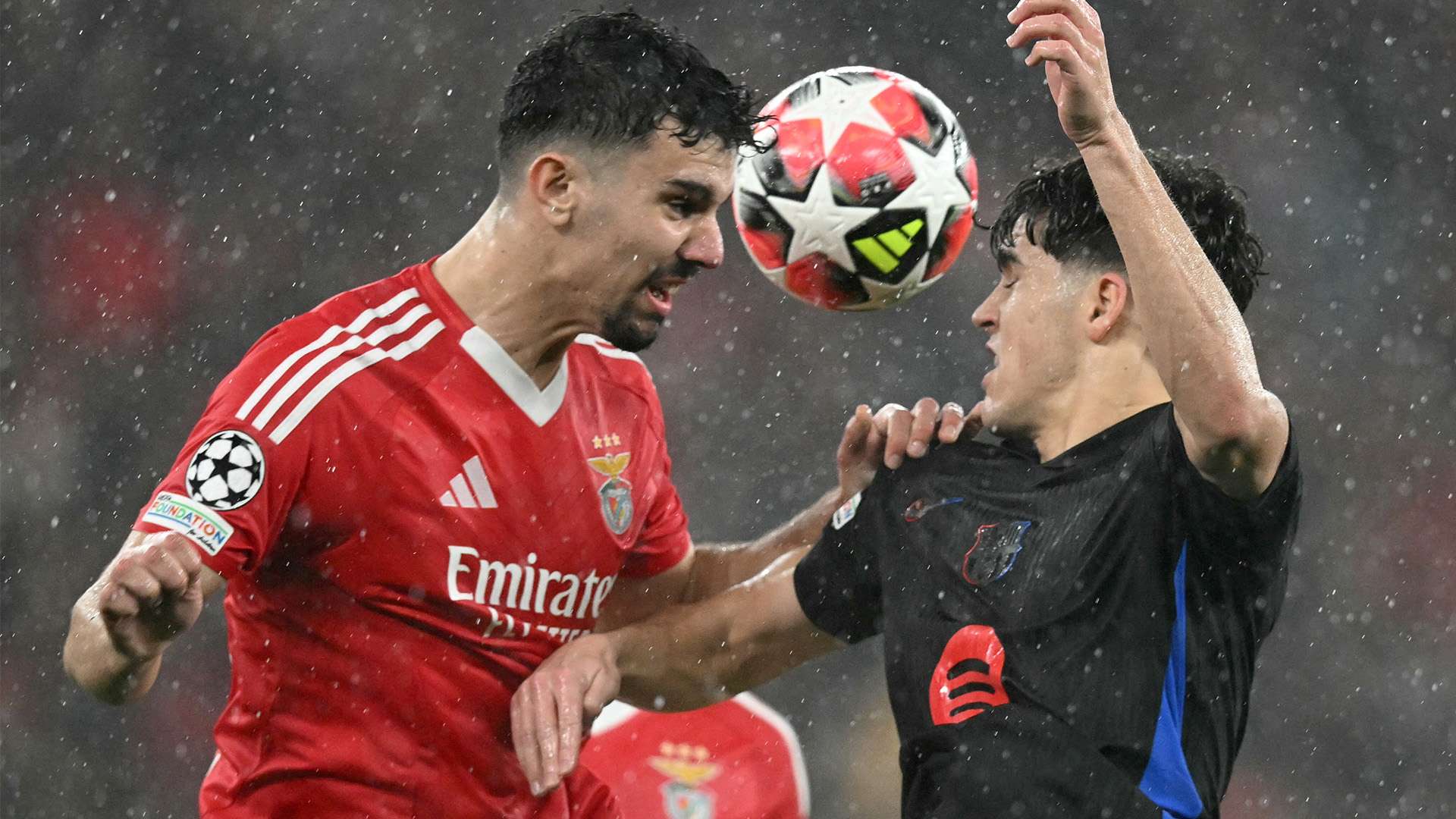 现在这片土 现在这片土